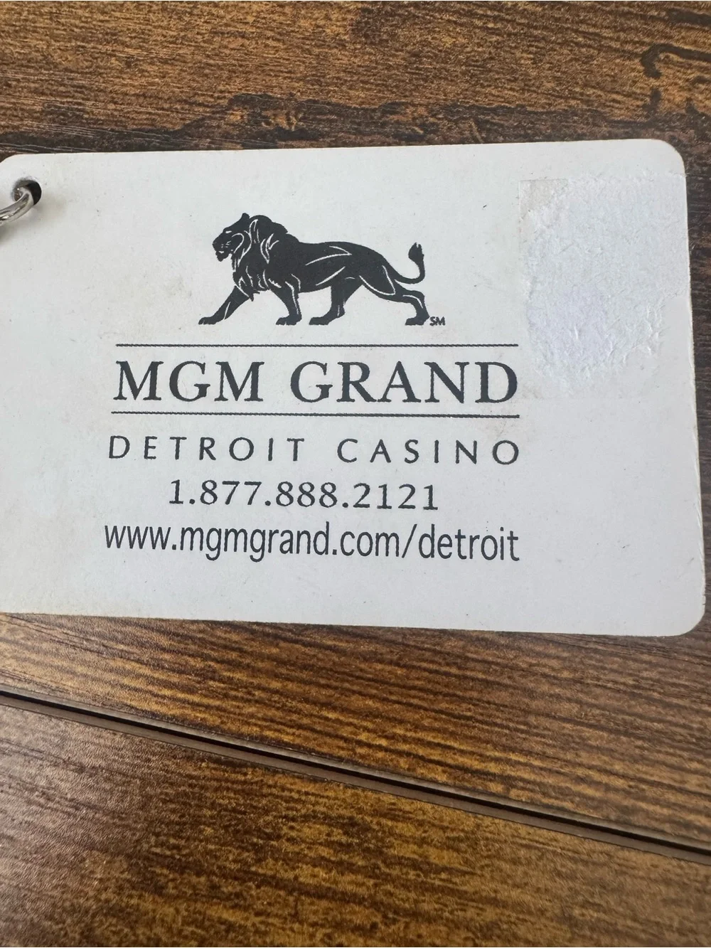 MGM Grand Detroit Casino Lion & Kitten Lenticular 3D Flip Image Card Keychain